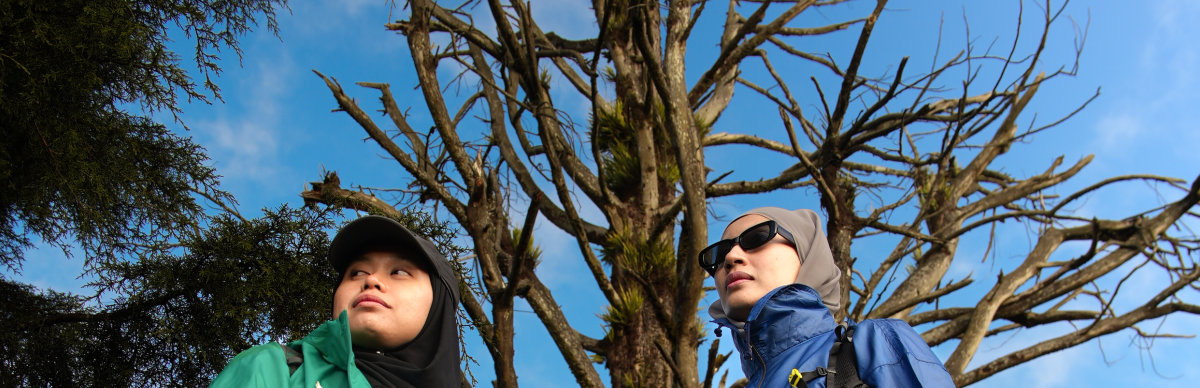 Page Banner